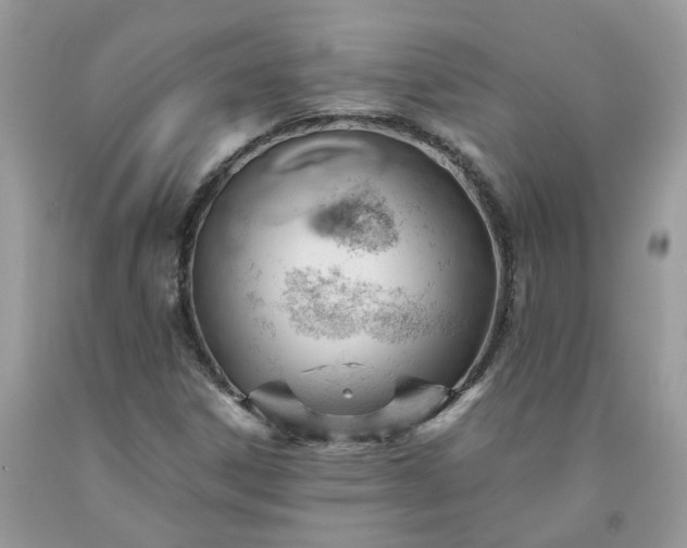 X0000091661306200709061012