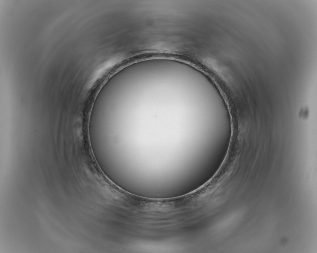 X0000091661307200709061012