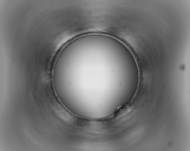 X0000091661308200709061012