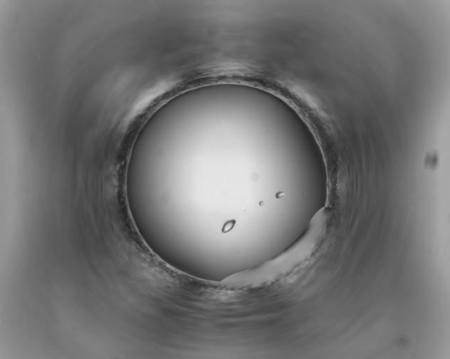 X0000091661309200709061012