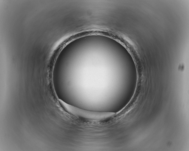 X0000091661310200709061012