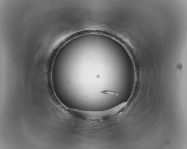 X0000091661311200709061012