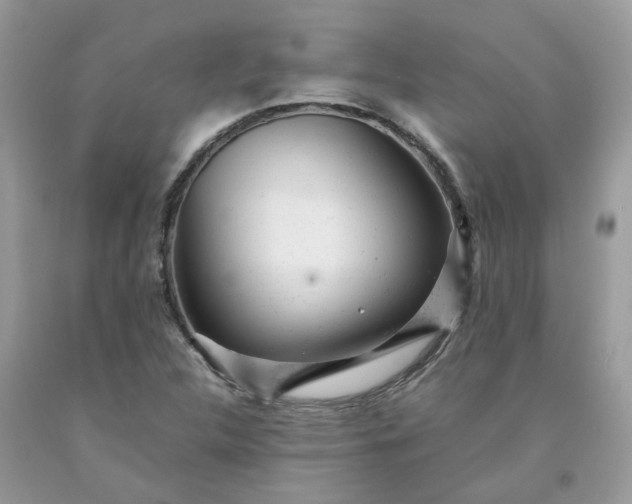 X0000091661312200709061012