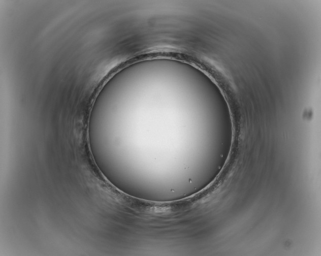 X0000091661313200709061012