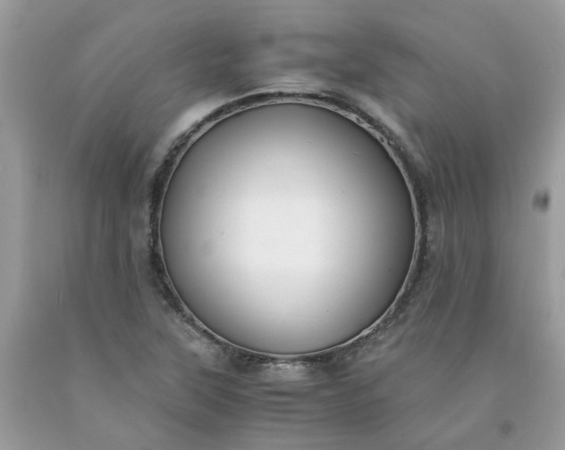 X0000091661315200709061012