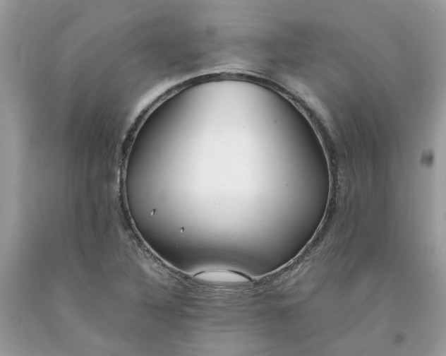 X0000091661316200709061012