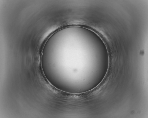 X0000091661317200709061012