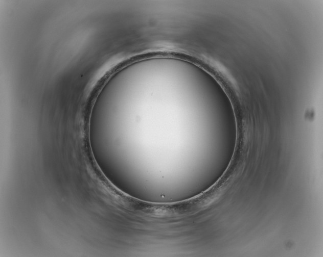 X0000091661318200709061012