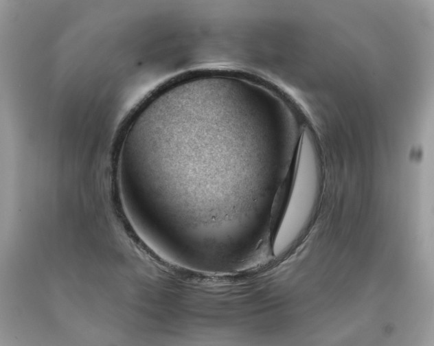 X0000091661319200709061012