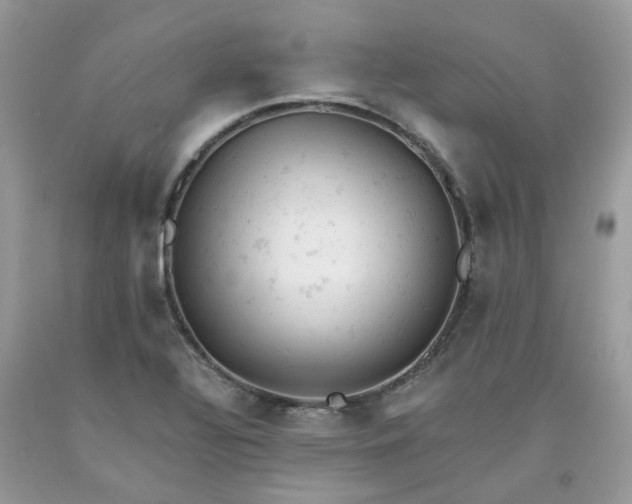 X0000091661320200709061012