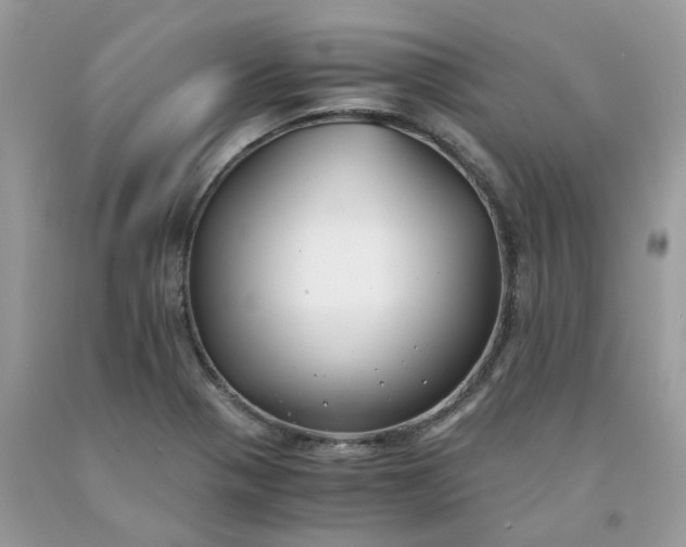 X0000091661321200709061012