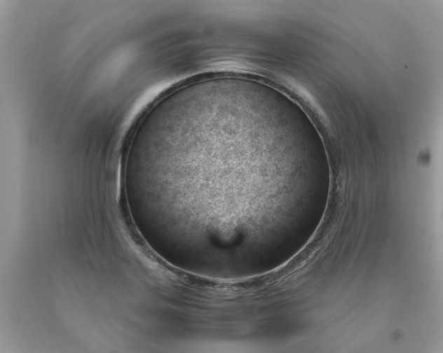 X0000091661323200709061012