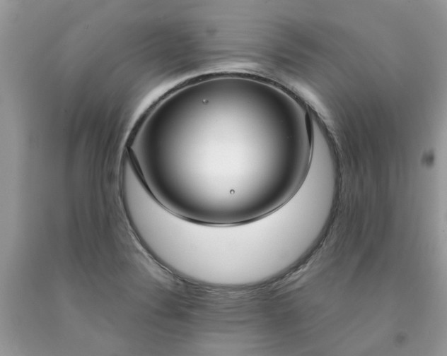 X0000091661324200709061012