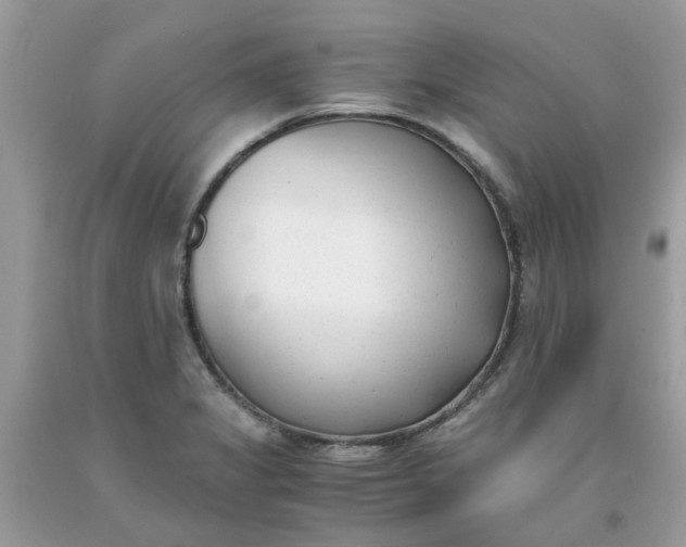 X0000091661325200709061012