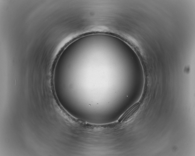 X0000091661326200709061012