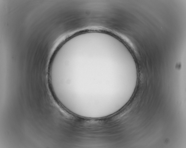 X0000091661327200709061012