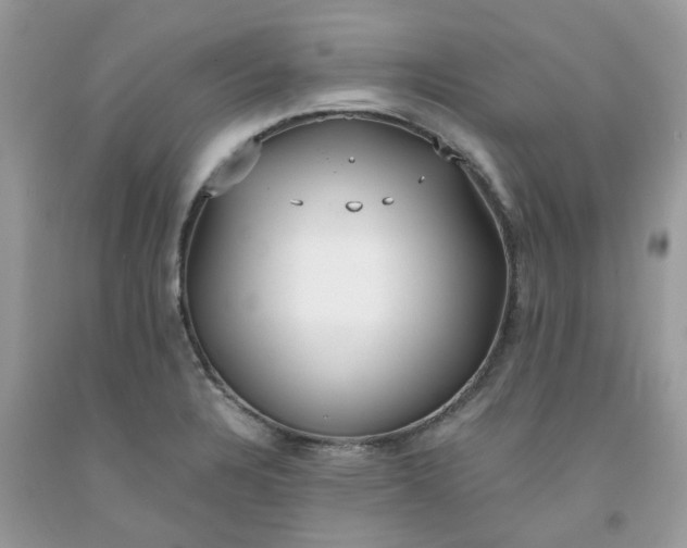 X0000091661328200709061012