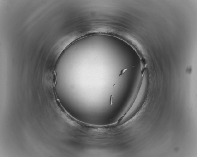 X0000091661329200709061012