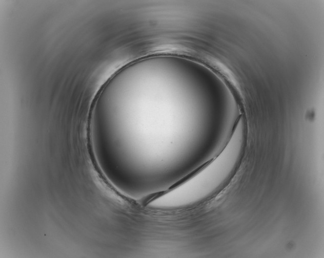 X0000091661330200709061012