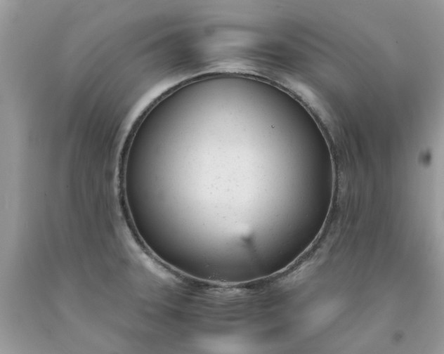 X0000091661331200709061012