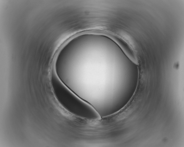 X0000091661332200709061012