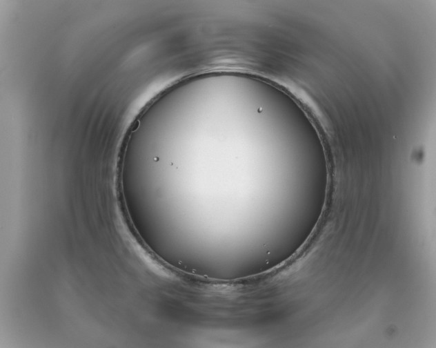 X0000091661333200709061012