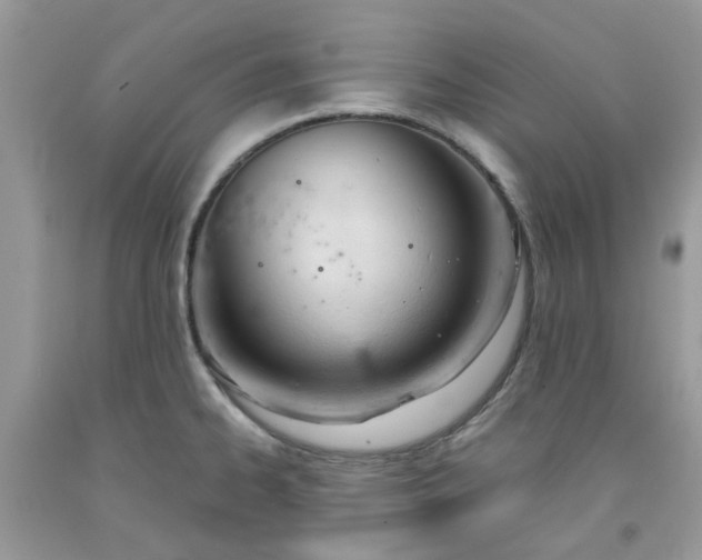 X0000091661334200709061012