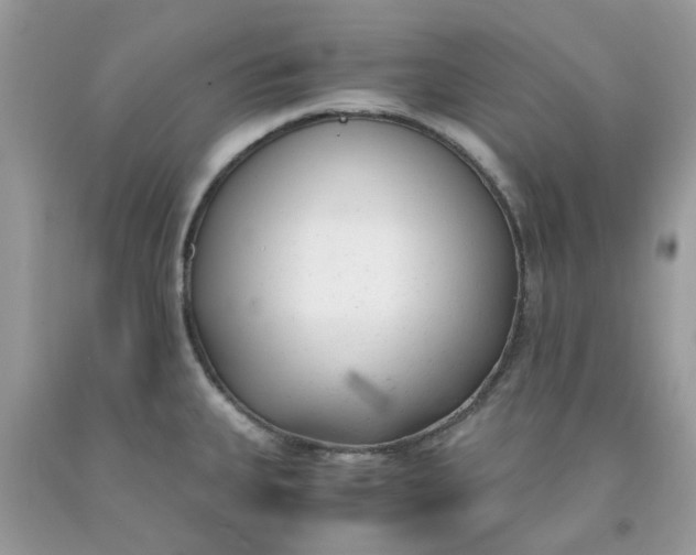 X0000091661335200709061012