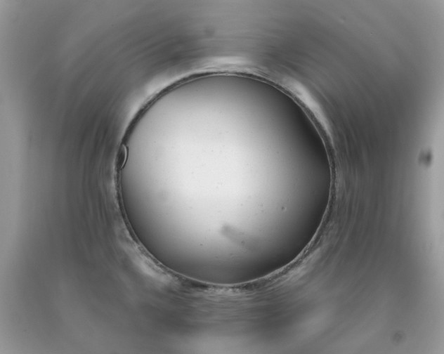 X0000091661336200709061012