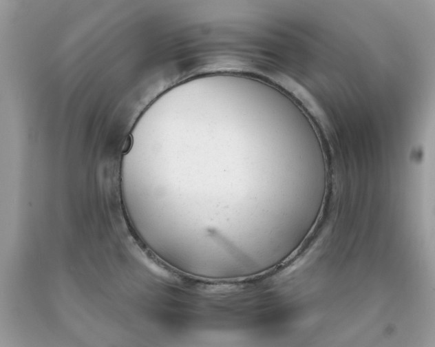 X0000091661337200709061012