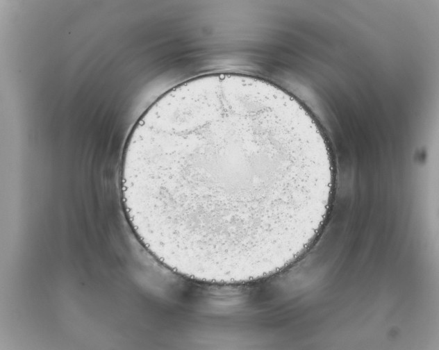 X0000091661338200709061012