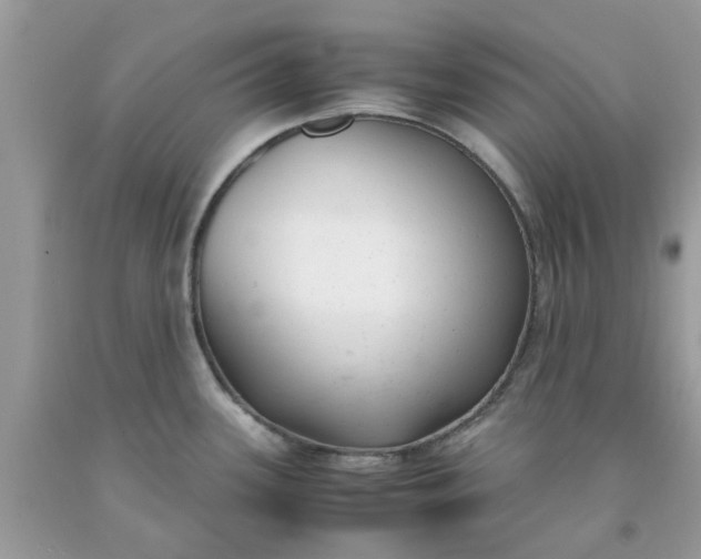 X0000091661339200709061012