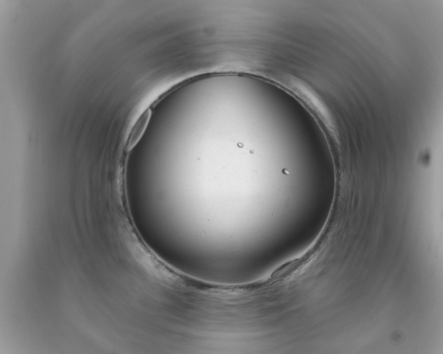 X0000091661340200709061012