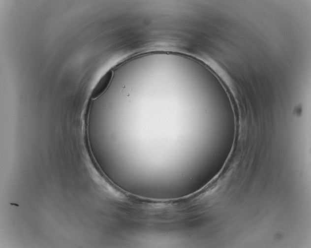 X0000091661341200709061012