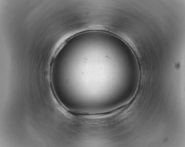 X0000091661342200709061012