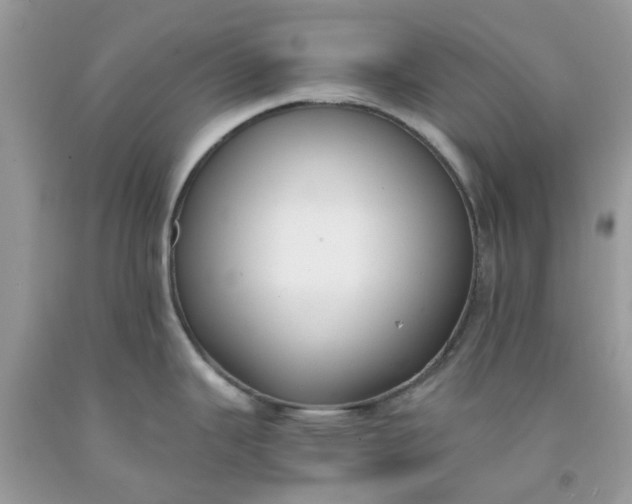 X0000091661343200709061012