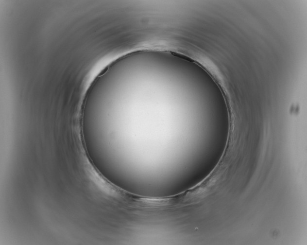 X0000091661344200709061012