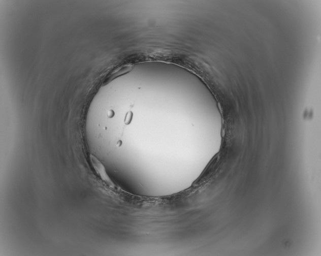 X0000091661345200709061011