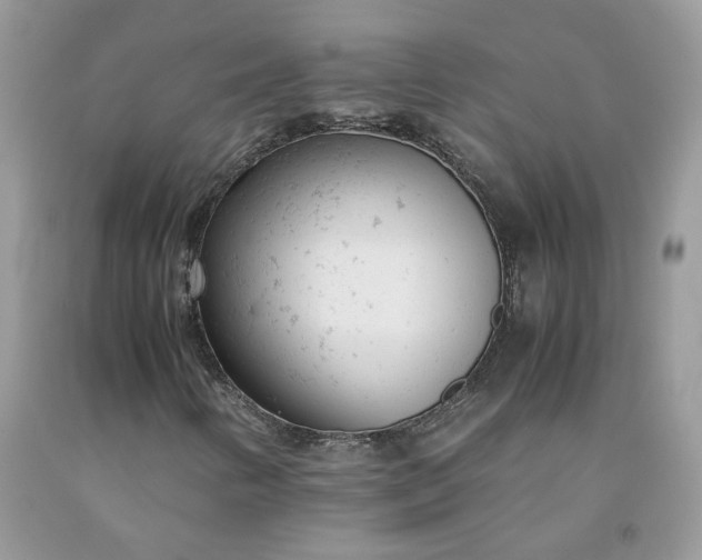 X0000091661346200709061011