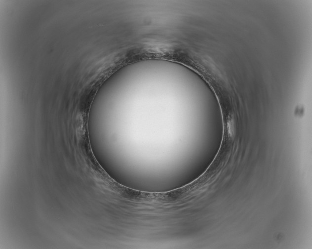 X0000091661347200709061011