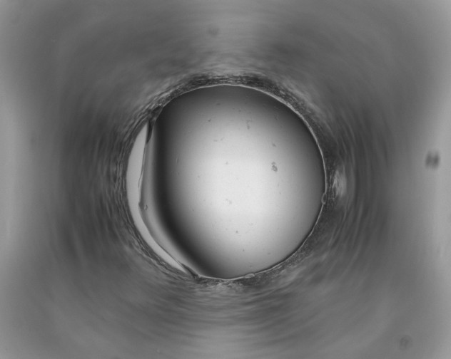 X0000091661348200709061011