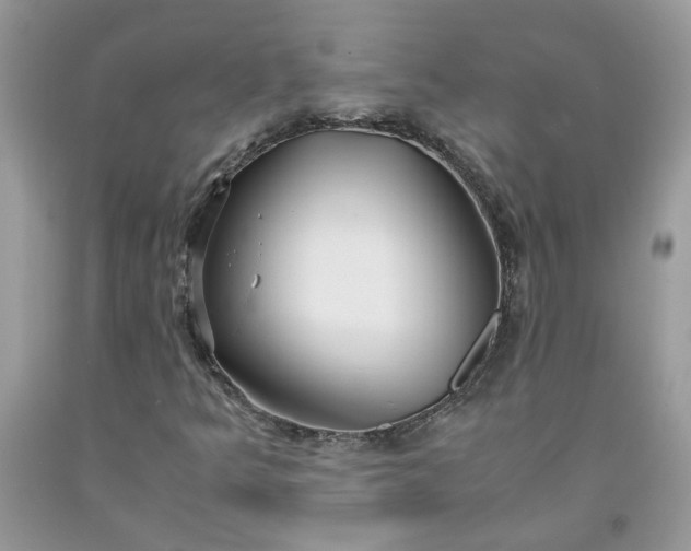 X0000091661349200709061011