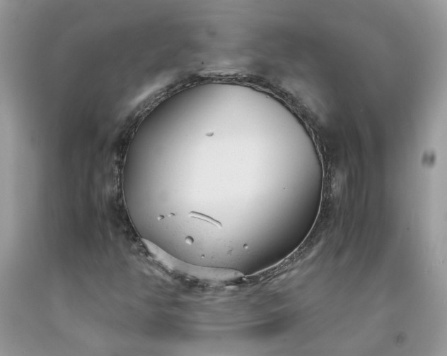 X0000091661350200709061011