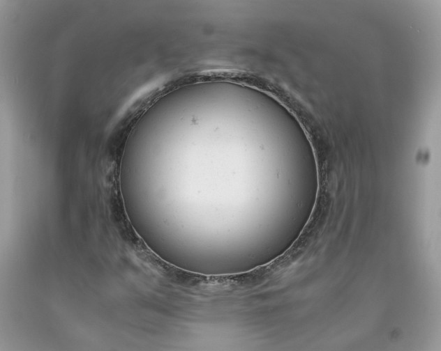 X0000091661351200709061011