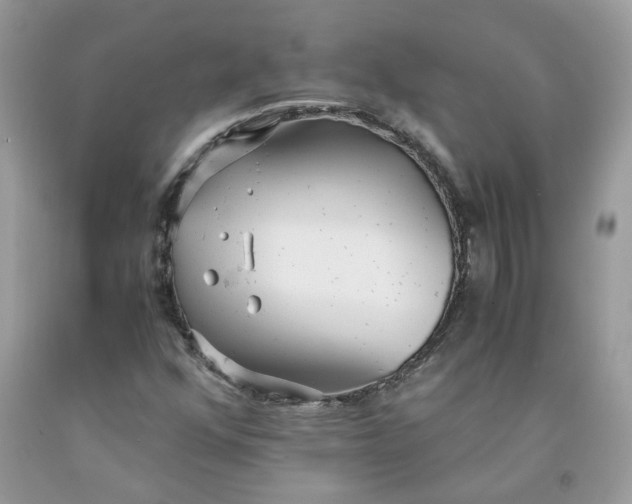 X0000091661352200709061011