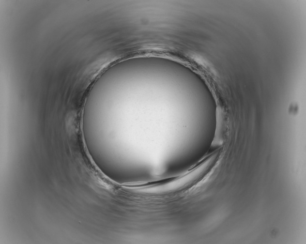 X0000091661353200709061011