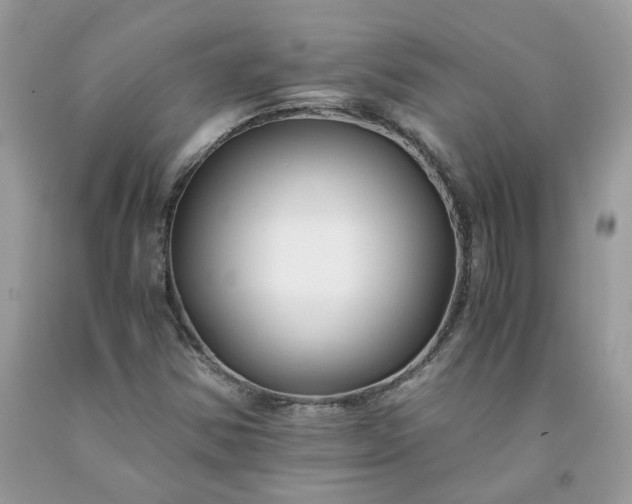 X0000091661354200709061011