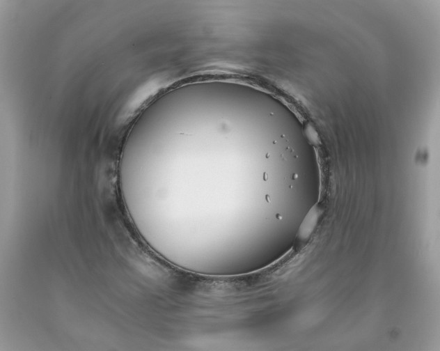 X0000091661355200709061011