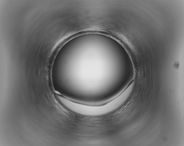 X0000091661356200709061011