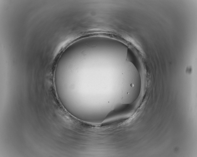 X0000091661357200709061011